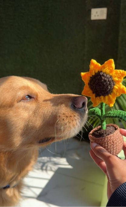 Handcrafted Crochet Sunflower Pot