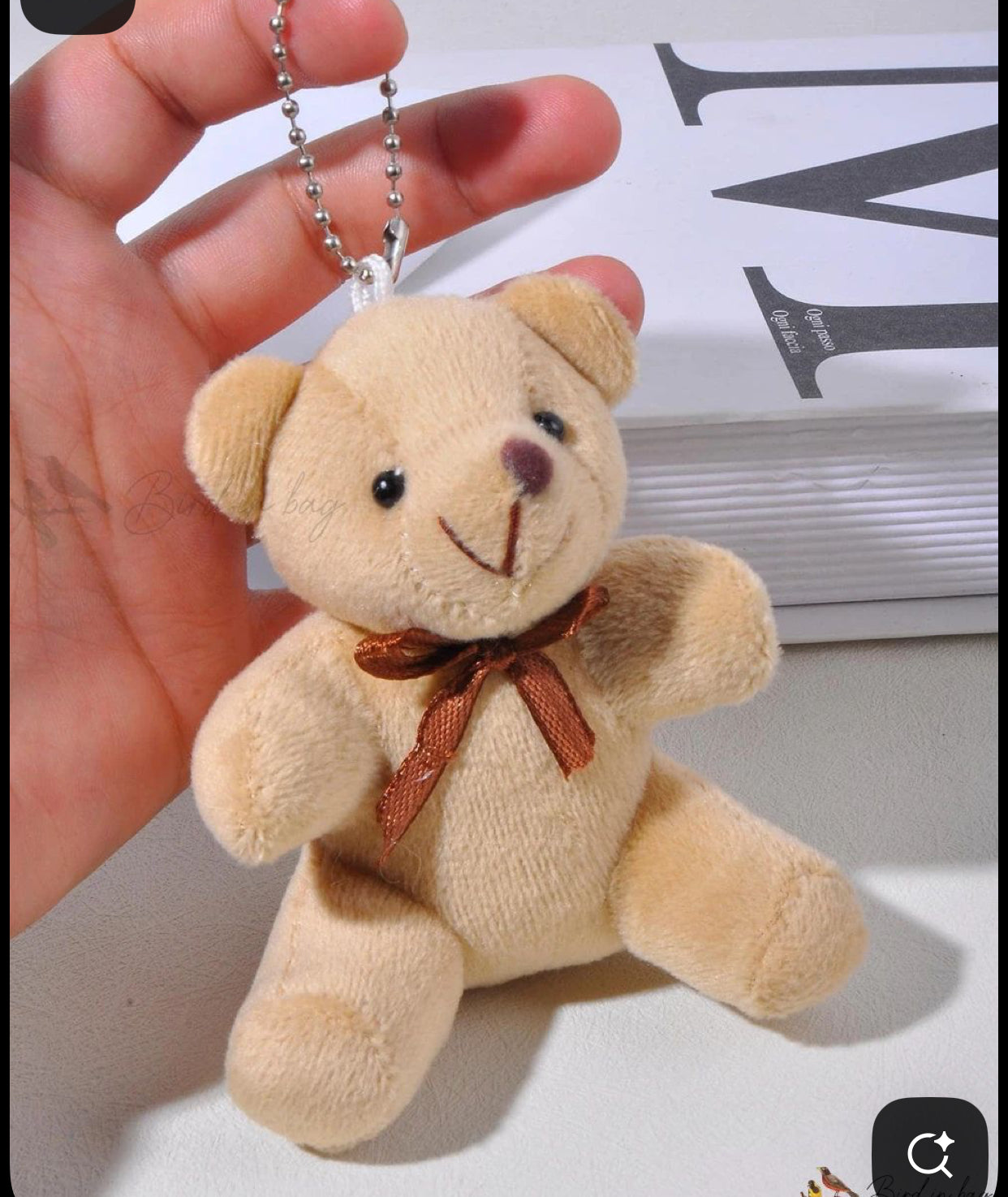 Teddy Key Chain (colour may vary)